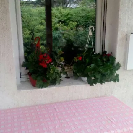 Ferienwohnung Anni Belgrad Exterior foto
